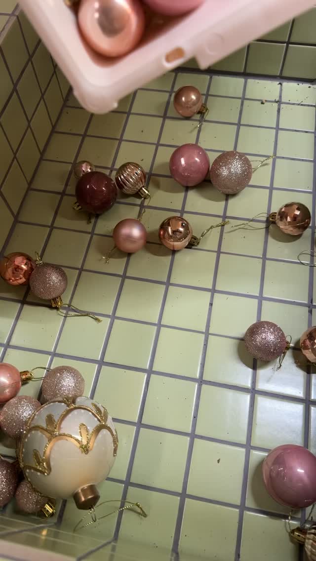 新計劃模擬中😂